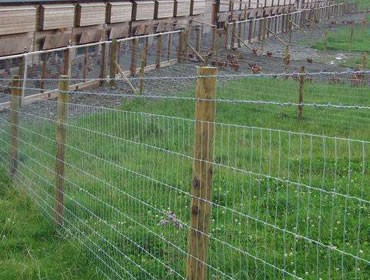 草原用国产精品51麻豆CM传媒